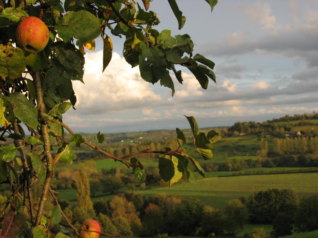 La Boursaie Bed & Breakfast Livarot-Pays-d'Auge Eksteriør bilde