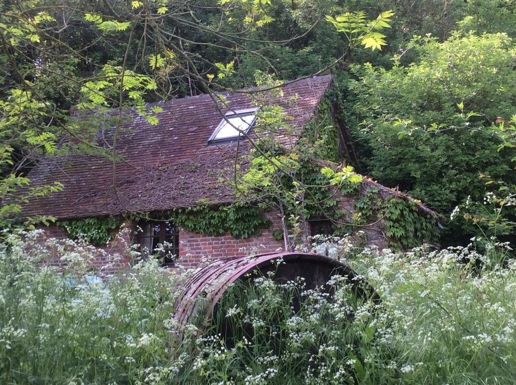 La Boursaie Bed & Breakfast Livarot-Pays-d'Auge Eksteriør bilde